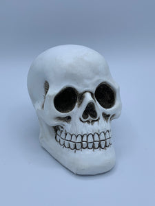 White Skull Decoration
